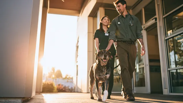 Man in his 30s and a veterinary technician walking a mixed-breed dog with a bandaged paw out of a modern clinic after an emergency visit financed through Tripoint Lending